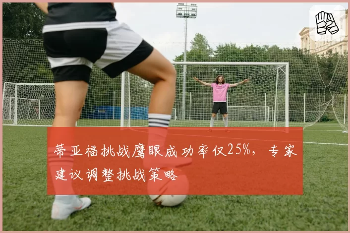 蒂亚福挑战鹰眼成功率仅25%，专家建议调整挑战策略