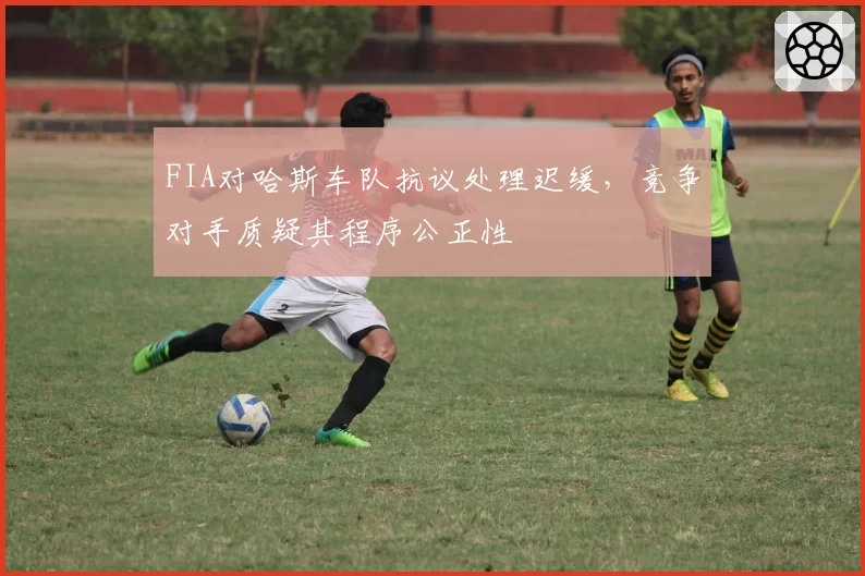 FIA对哈斯车队抗议处理迟缓，竞争对手质疑其程序公正性