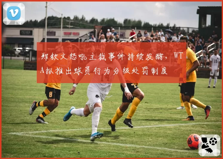 郑钦文怒吼主裁事件持续发酵,WTA拟推出球员行为分级处罚制度