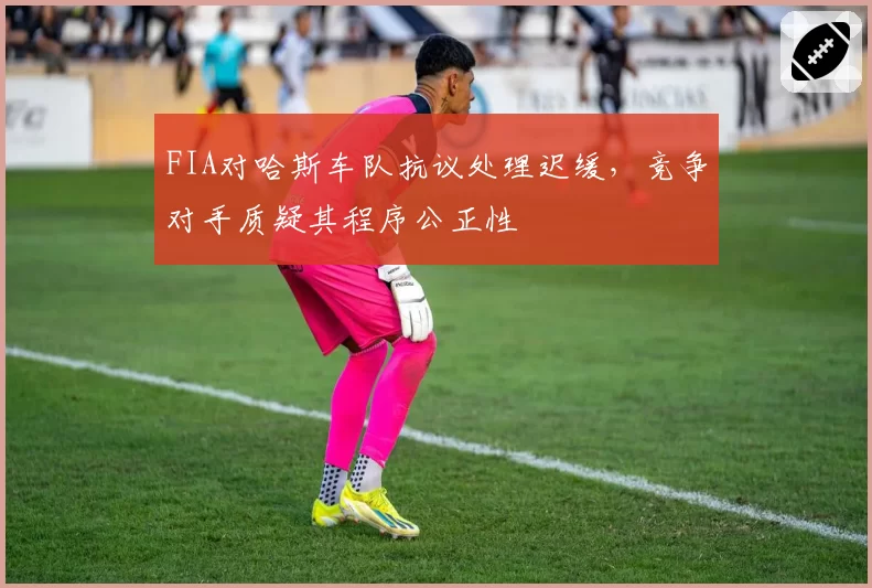 FIA对哈斯车队抗议处理迟缓，竞争对手质疑其程序公正性