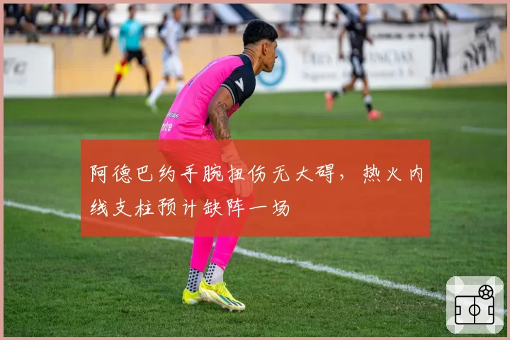 阿德巴约手腕扭伤无大碍，热火内线支柱预计缺阵一场